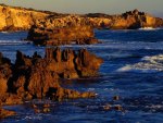 Australia's Boozy Gully Coastline