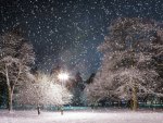 Snowing on a Winter Evening