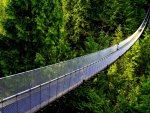 HANGING BRIDGE