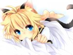 Neko Len