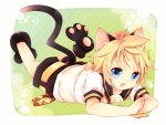 Neko Len