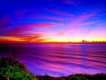 COLORFUL HORIZON
