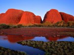 Kata Tjuta at Sunset~Australia National Park