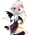 Koneko