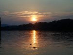 Sunset  Tisza