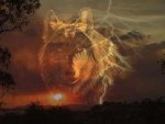 Wolf Lightening