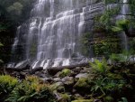 Russel Falls in Australia