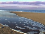 Calm Beach
