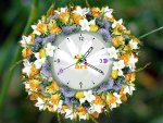 Flower Clock