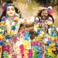 Sri Sri Krishna Balarama
