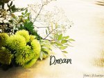 DREAM IN GREEN