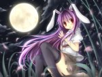 Reisen Udongein