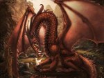 Loving my Red Dragon