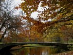 Autumn in the Park