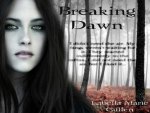 Breaking Dawn twilight series