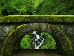 Natures bridge