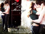 New Moon: Love, Life, Meaning
