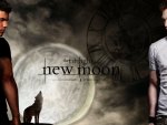 New Moon: Edward vs. Jacob