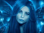 beautiful fairy blue the night