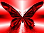 Red Butterfly