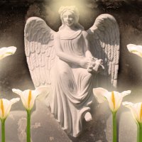 â™¥     Angel of Light     â™¥