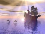 Dolphins Chasing Ship