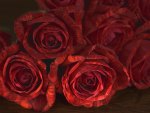 Red roses