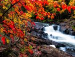 Fall waterfall
