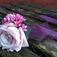 Rose bound with purple ribbonâ™¥