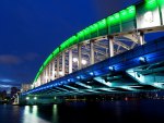 LIGHTED BRIDGE in JAPAN