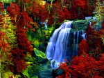 AUTUMN FOREST FALLS