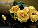 Yellow Roses