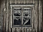 the window