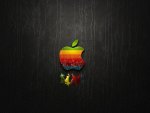 Rainbow Mac Edited By SmoothSqu4d