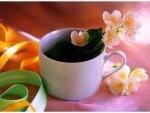 Cup of jasmine