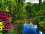 Claude Monet Gardens