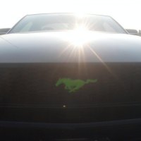 Custom Mustang grill emblem