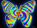â™¥      Æ¸Ì´ÓÌ´Æ·~Butterfly for Flutterby~Æ¸Ì´ÓÌ´Æ·     â™¥