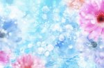 Floral Background Wallpaper