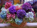 Basket of Beauty for You