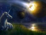 Unicorn at Night