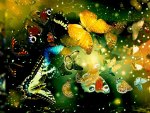 Beautiful Buuterflies