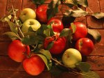 Apple Bouquet