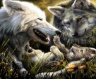 Family Of Wolves