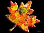 â™¥     Maple Leaf     â™¥