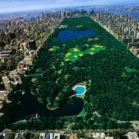 Central Park New-York