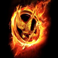 the hunger games mockingjay