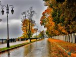 Autumn Rain