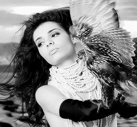 ~beauty in the desert with a bird hawk ~