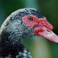 I'm ready for my close up